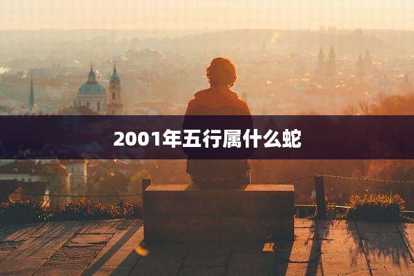 2001年五行属什么蛇