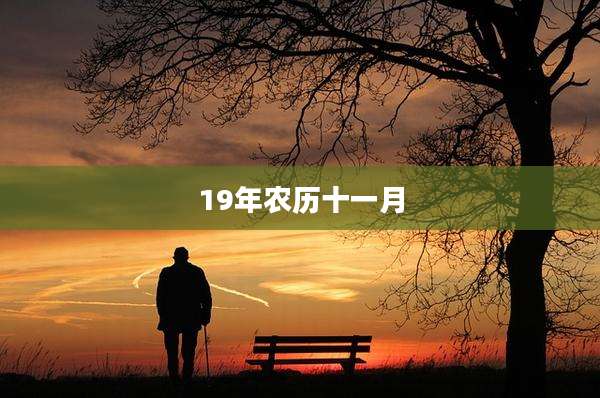 19年农历十一月