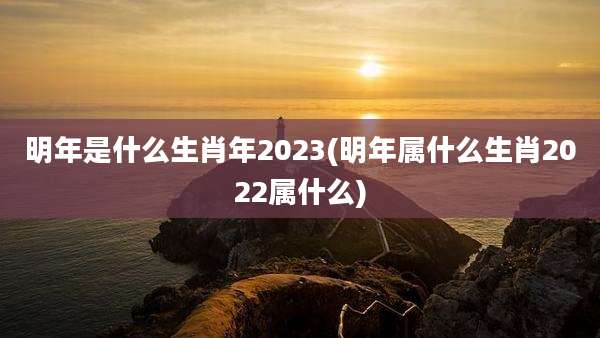 明年是什么生肖年2023(明年属什么生肖2022属什么)