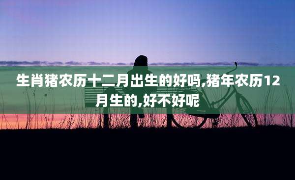 生肖猪农历十二月出生的好吗,猪年农历12月生的,好不好呢