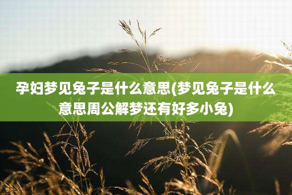 孕妇梦见兔子是什么意思(梦见兔子是什么意思周公解梦还有好多小兔)