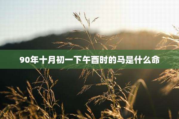 90年十月初一下午酉时的马是什么命
