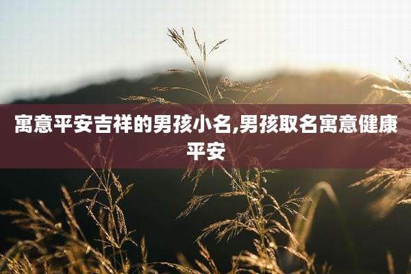 寓意平安吉祥的男孩小名,男孩取名寓意健康平安