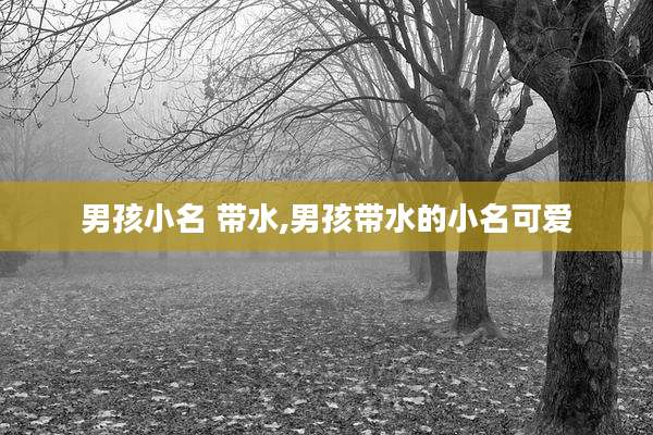 男孩小名 带水,男孩带水的小名可爱
