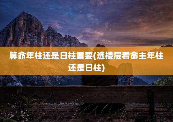 算命年柱还是日柱重要(选楼层看命主年柱还是日柱)