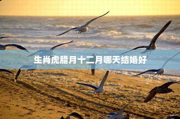 生肖虎腊月十二月哪天结婚好