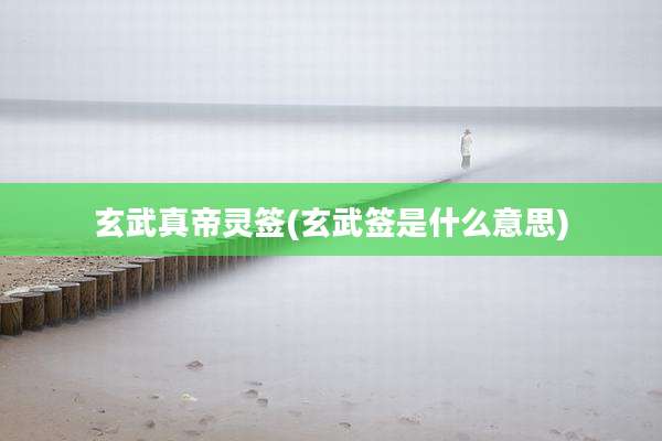 玄武真帝灵签(玄武签是什么意思)
