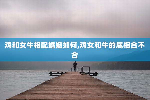鸡和女牛相配婚姻如何,鸡女和牛的属相合不合
