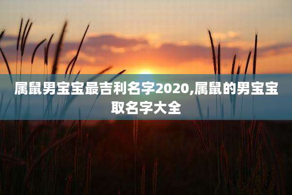 属鼠男宝宝最吉利名字2020,属鼠的男宝宝取名字大全