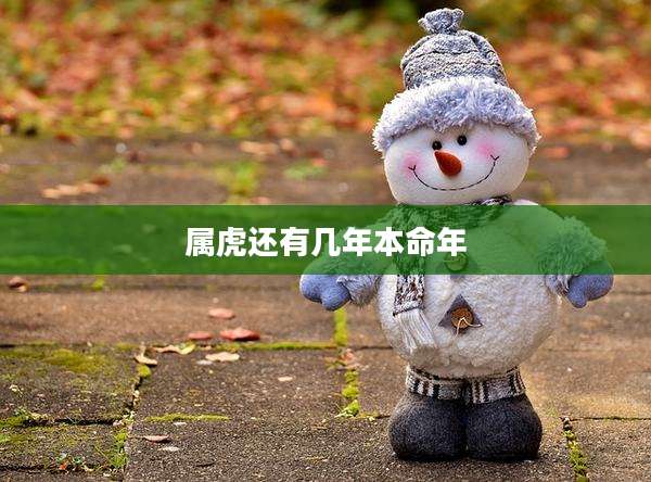 属虎还有几年本命年