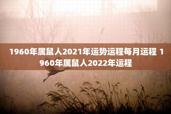 1960年属鼠人2021年运势运程每月运程 1960年属鼠人2022年运程