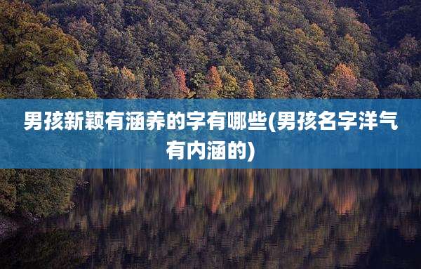 男孩新颖有涵养的字有哪些(男孩名字洋气有内涵的)