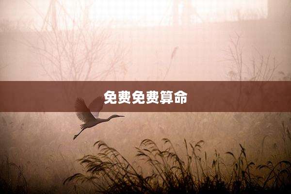 免费免费算命
