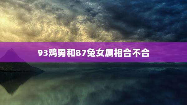 93鸡男和87兔女属相合不合
