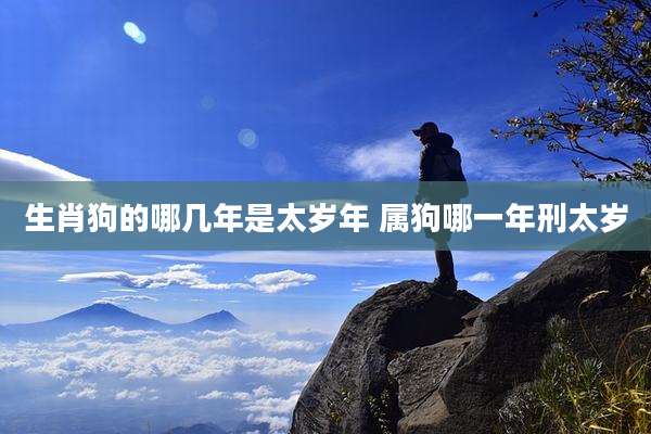 生肖狗的哪几年是太岁年 属狗哪一年刑太岁