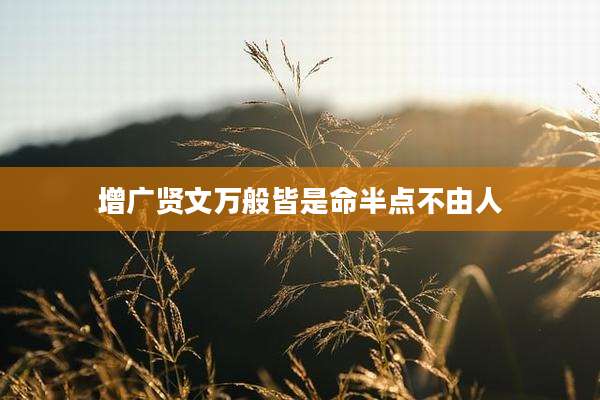 增广贤文万般皆是命半点不由人