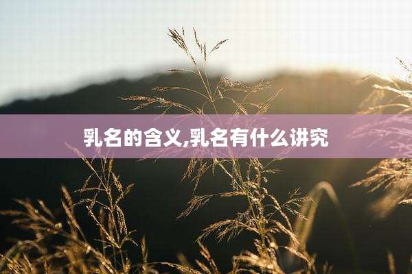 乳名的含义,乳名有什么讲究