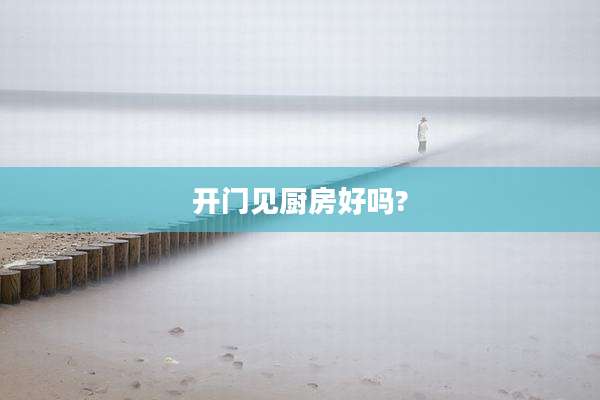 开门见厨房好吗?