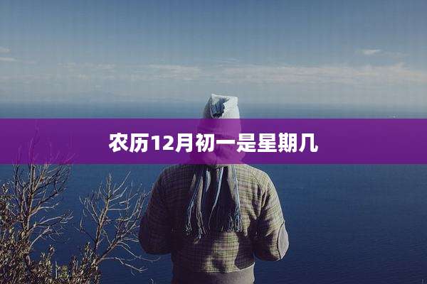 农历12月初一是星期几
