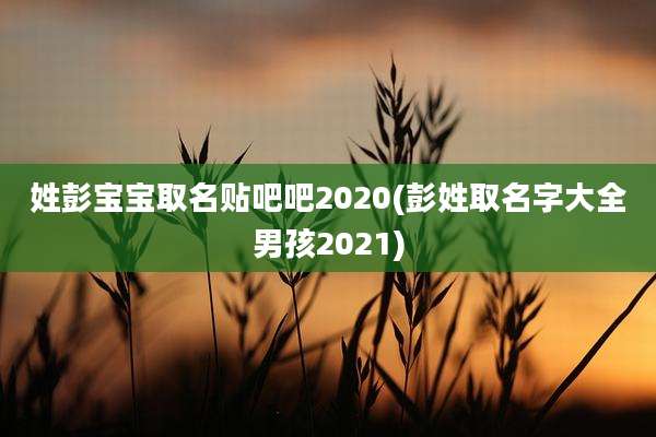 姓彭宝宝取名贴吧吧2020(彭姓取名字大全男孩2021)