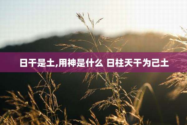 日干是土,用神是什么 日柱天干为己土