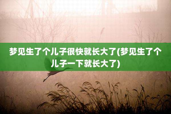 梦见生了个儿子很快就长大了(梦见生了个儿子一下就长大了)