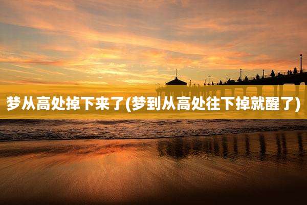 梦从高处掉下来了(梦到从高处往下掉就醒了)