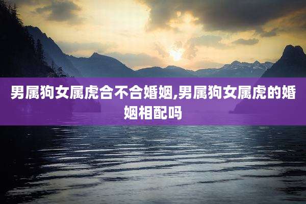 男属狗女属虎合不合婚姻,男属狗女属虎的婚姻相配吗