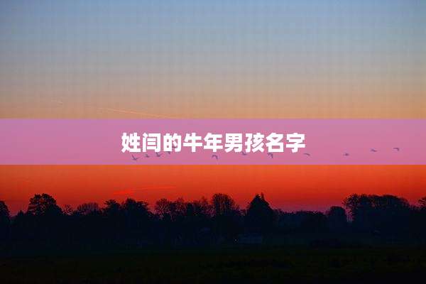 姓闫的牛年男孩名字