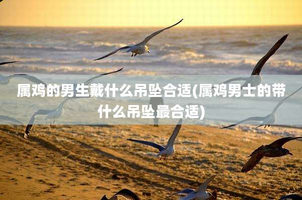 属鸡的男生戴什么吊坠合适(属鸡男士的带什么吊坠最合适)