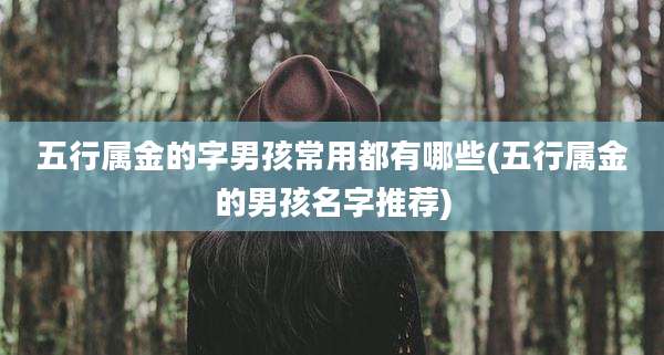 五行属金的字男孩常用都有哪些(五行属金的男孩名字推荐)