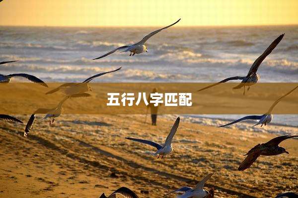 五行八字匹配