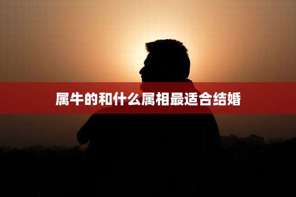 属牛的和什么属相最适合结婚