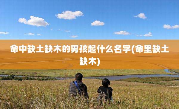 命中缺土缺木的男孩起什么名字(命里缺土缺木)