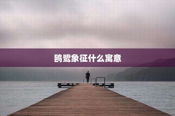 鸥鹭象征什么寓意