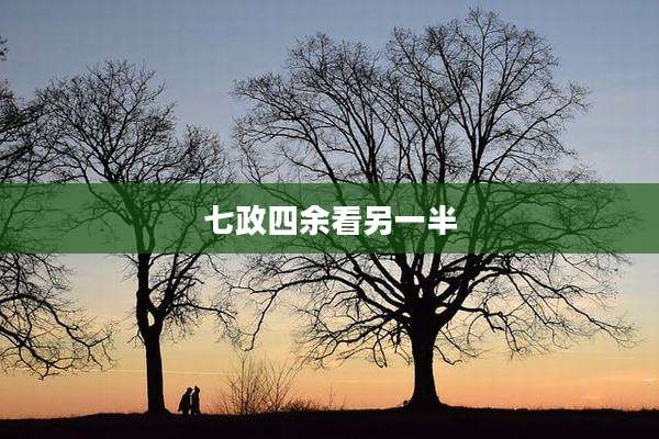 七政四余看另一半