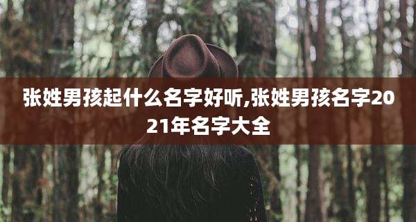 张姓男孩起什么名字好听,张姓男孩名字2021年名字大全