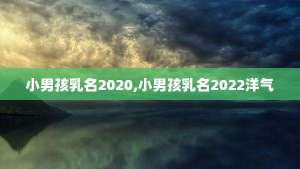 小男孩乳名2020,小男孩乳名2022洋气
