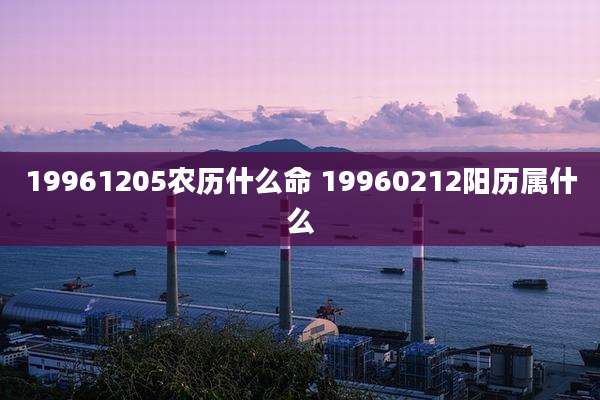 19961205农历什么命 19960212阳历属什么