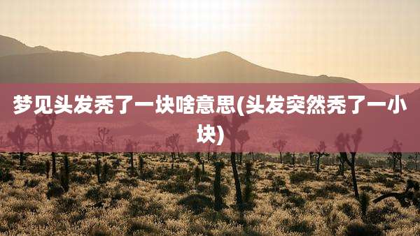 梦见头发秃了一块啥意思(头发突然秃了一小块)