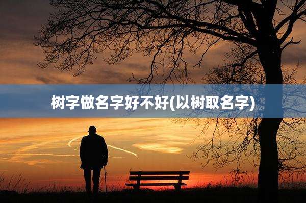 树字做名字好不好(以树取名字)
