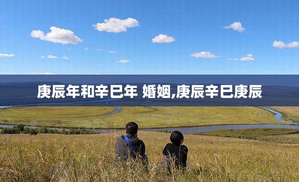 庚辰年和辛巳年 婚姻,庚辰辛巳庚辰