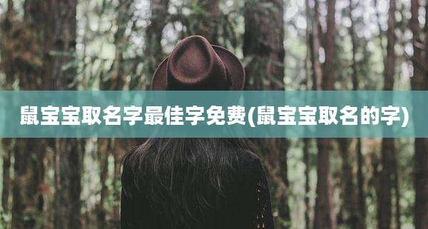 鼠宝宝取名字最佳字免费(鼠宝宝取名的字)