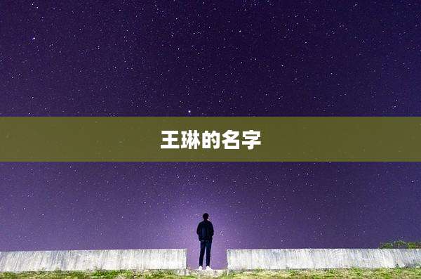 王琳的名字