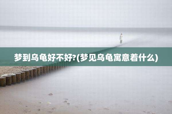 梦到乌龟好不好?(梦见乌龟寓意着什么)