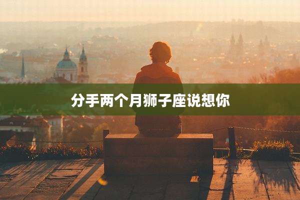 分手两个月狮子座说想你