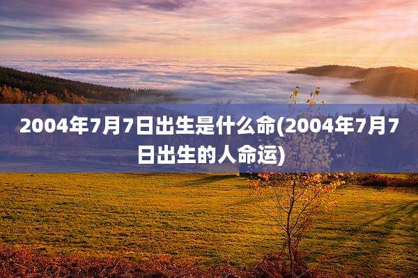 2004年7月7日出生是什么命(2004年7月7日出生的人命运)