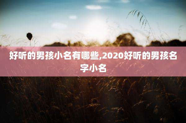 好听的男孩小名有哪些,2020好听的男孩名字小名
