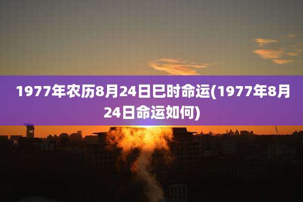 1977年农历8月24日巳时命运(1977年8月24日命运如何)