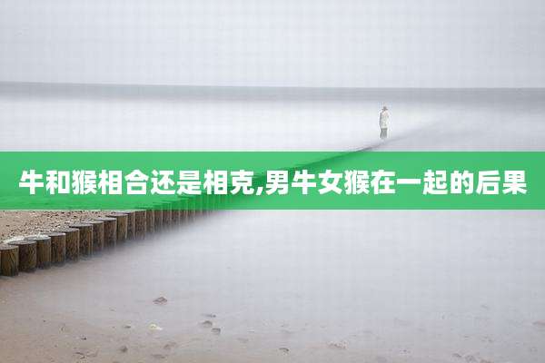 牛和猴相合还是相克,男牛女猴在一起的后果